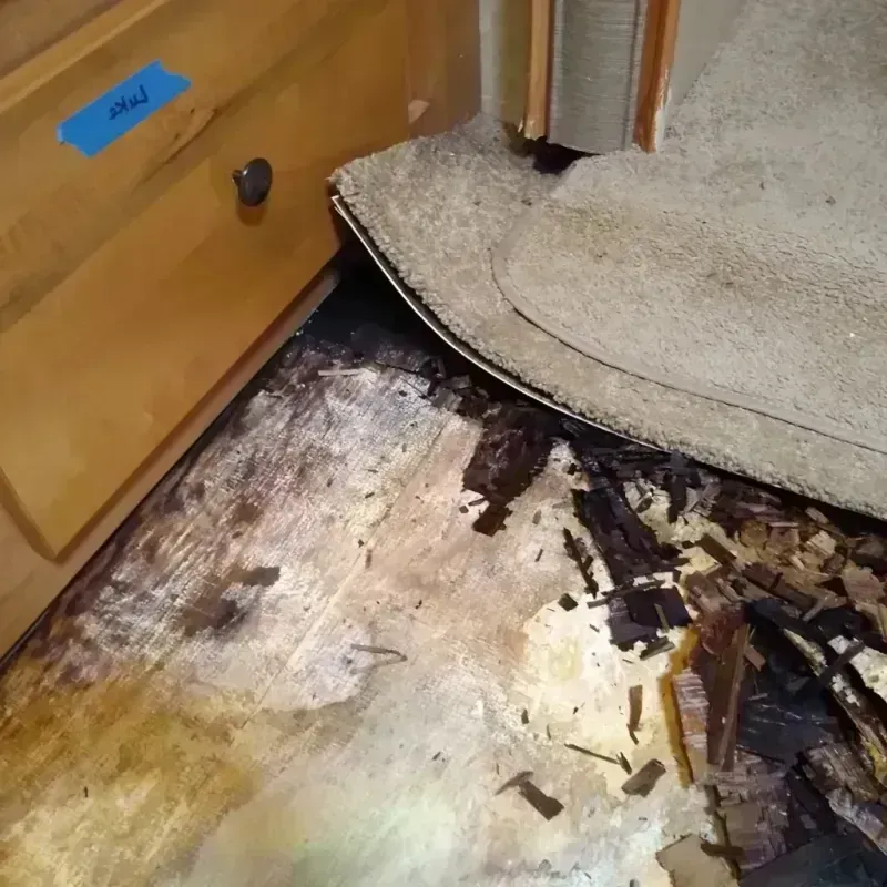 Wood Floor Water Damage in Colona, IL